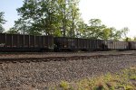 NS 10091